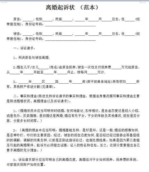 婚姻起訴書